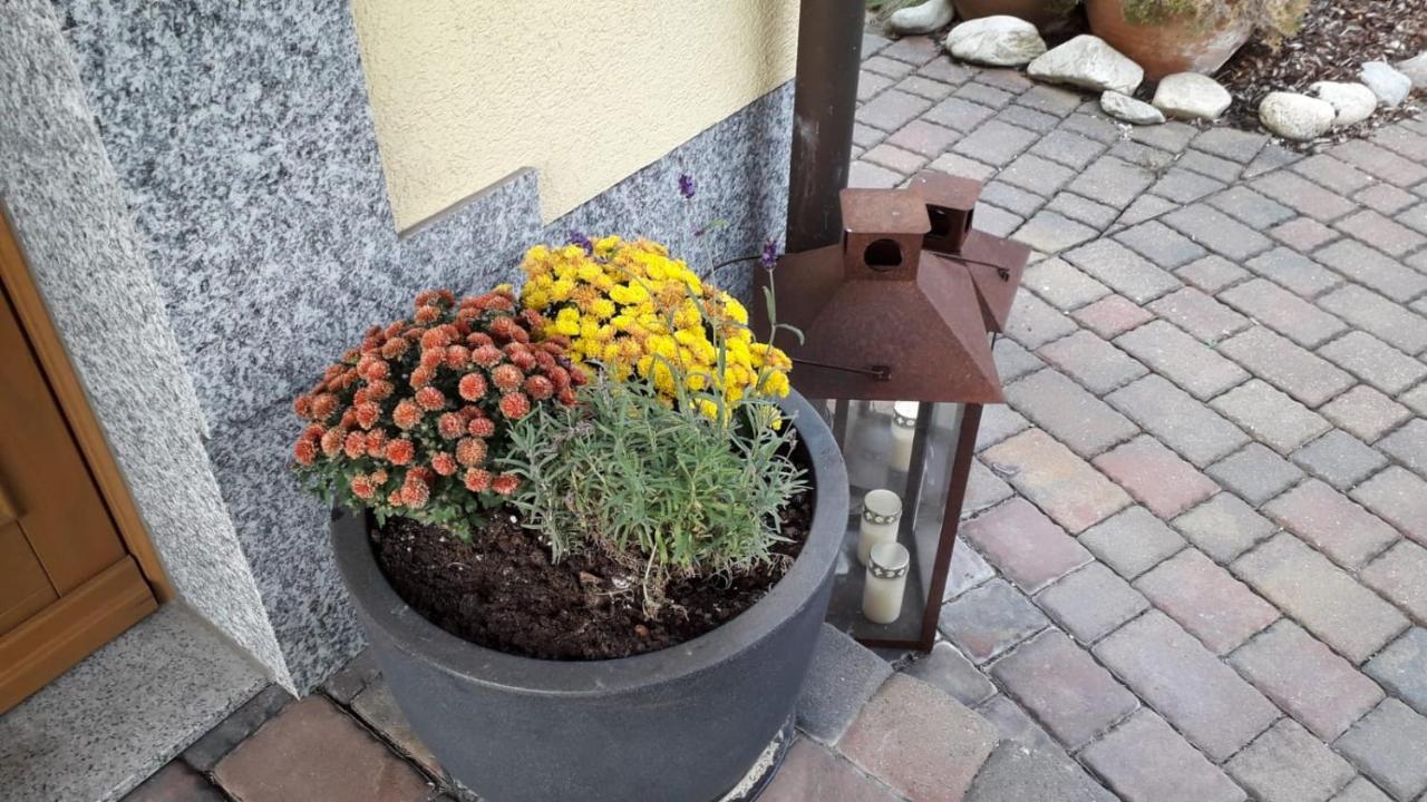 Ferienwohnung Leipzig Land Naunhof Zewnętrze zdjęcie